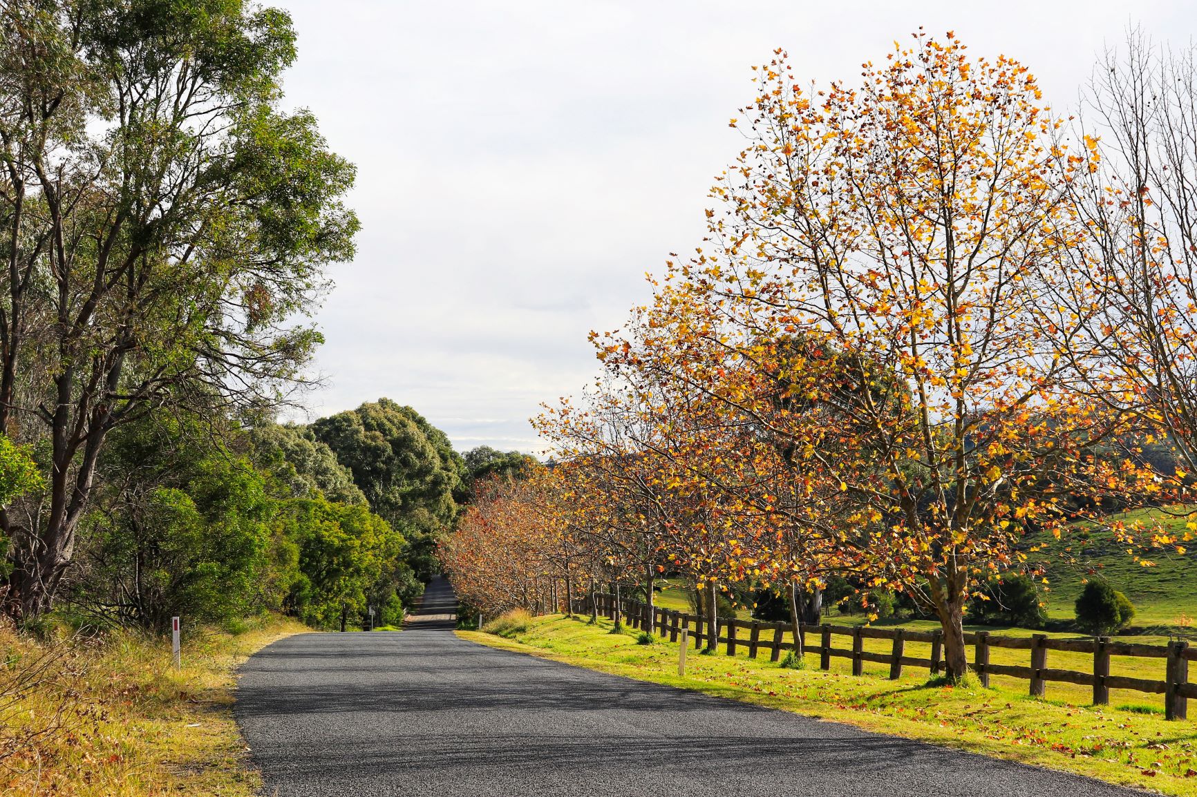 AdobeStock 351307953 2 southern highlands nsw web